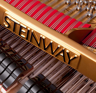 Ihr Piano Stimmservice in Stuttgart Saiten eines Steinway Flügels