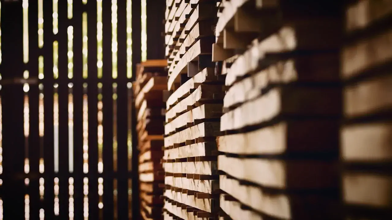 02_Stations_Lumber Yard_EN.mp4 thumbnail