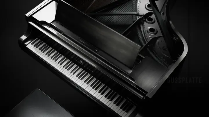 LE_steinway_black-masterpiece_DE.mp4 thumbnail