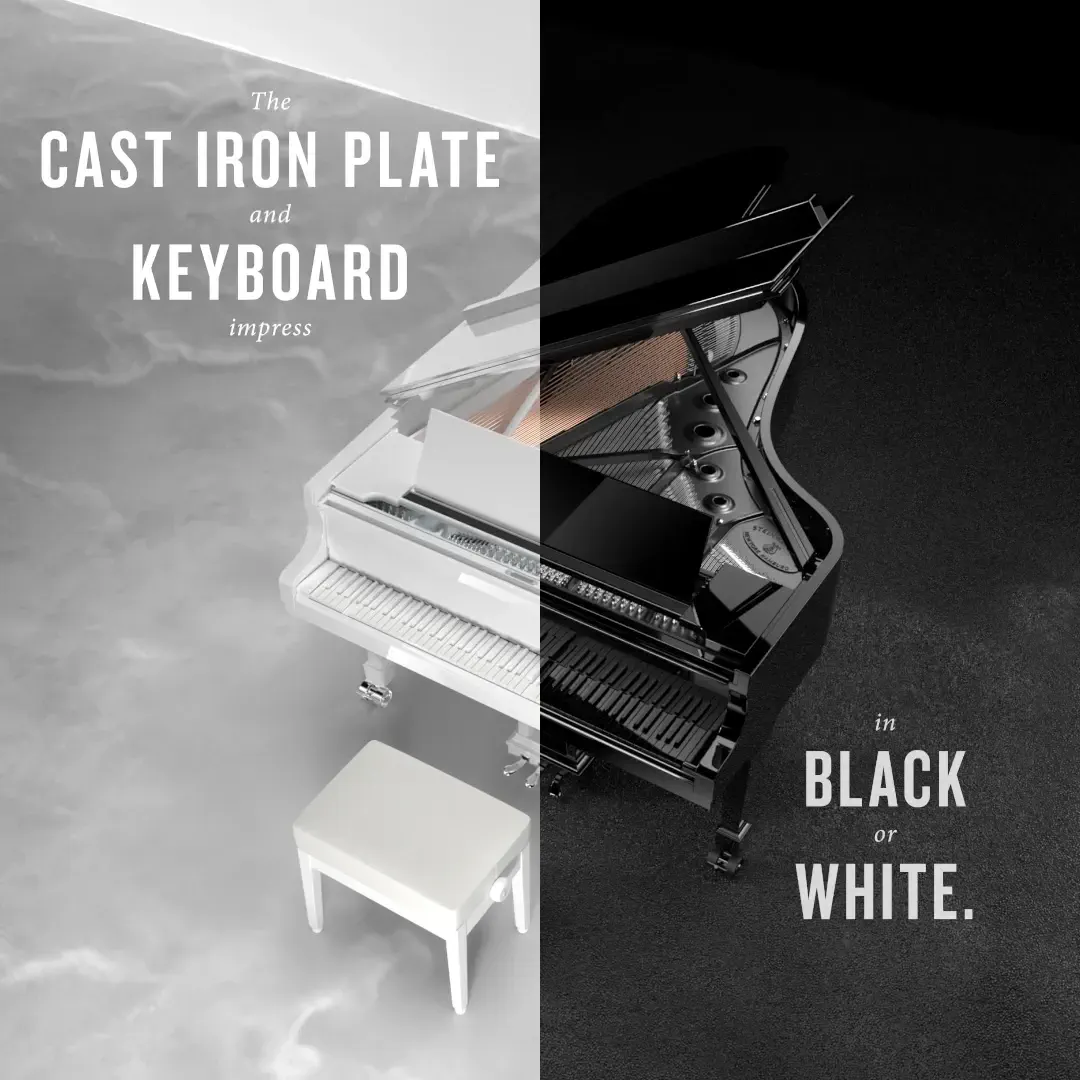 LE_ultra-black-ultra-white-limited-edition-steinway-1-1_EN.mp4 thumbnail