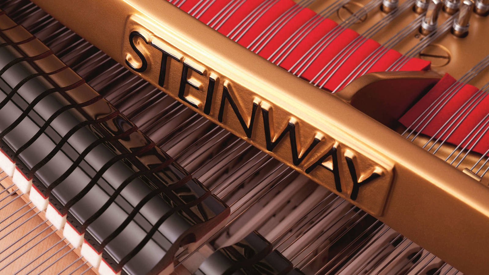 Harmonic Damper Setting Today's Steinway